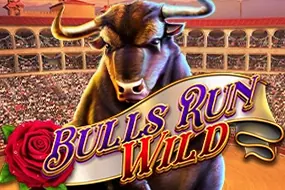 Bulls Run Wild